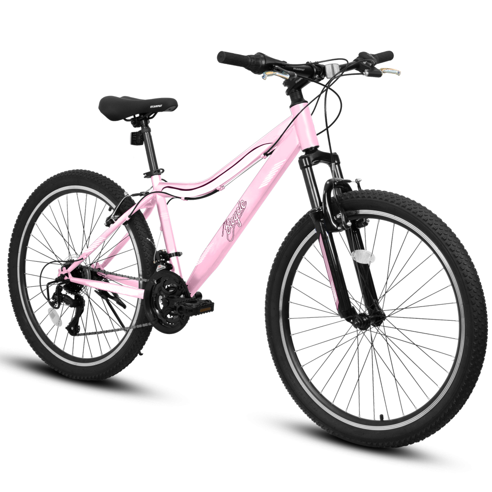 24/26 Inch Mountain Bike for M - đánh giá và giá Carbon Bike Frame