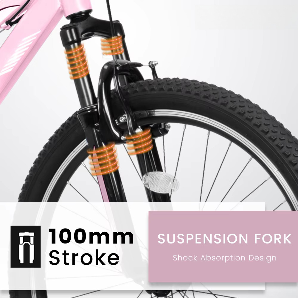 24/26 Inch Mountain Bike for M - đánh giá và giá Carbon Bike Frame
